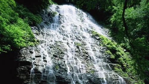 高效高效可靠性