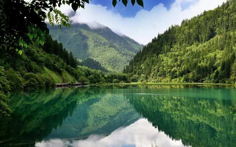 创新可靠性